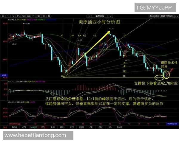 伊朗与韩国足球对决数据分析及历史交锋记录详解